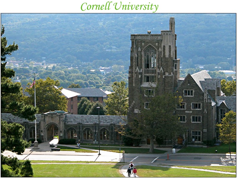 Cornell University